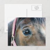 馬の目 ポストカード (正面/裏面)