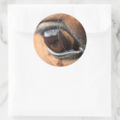 馬の目 ラウンドシール (バッグ)