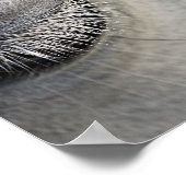 馬の目，白黒の写真 ポスター (角)