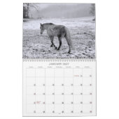馬の精神 カレンダー (1月 2027)