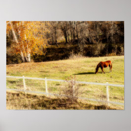馬の素朴国の秋の芸術 ポスター