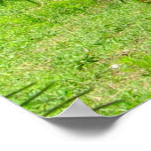 馬の緑葉の11 x 85ポスター ポスター (角)