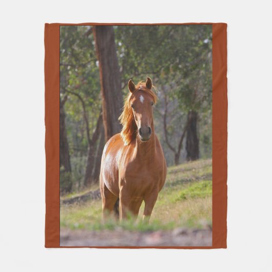 馬の美しい フリースブランケット (正面)