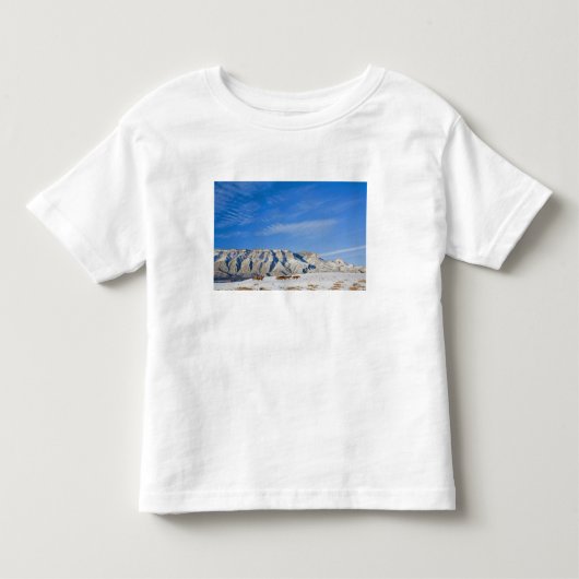 馬の群れとカウボーイ トドラーTシャツ (正面)