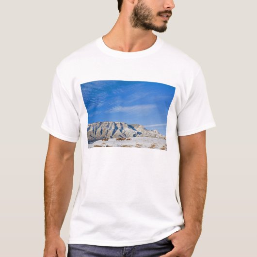 馬の群れとカウボーイ Tシャツ (正面)