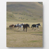 馬の群れ フォトプラーク (正面)