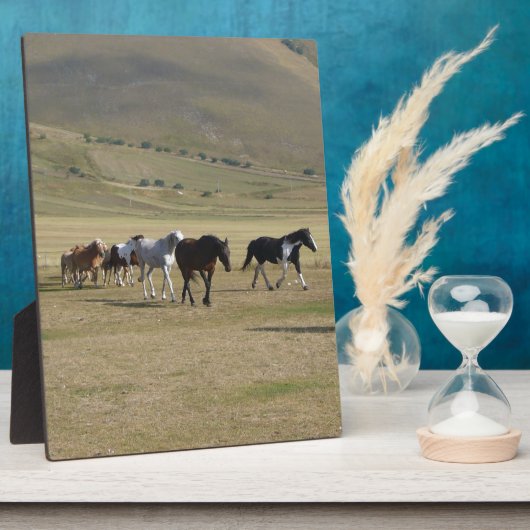 馬の群れ フォトプラーク (側面)