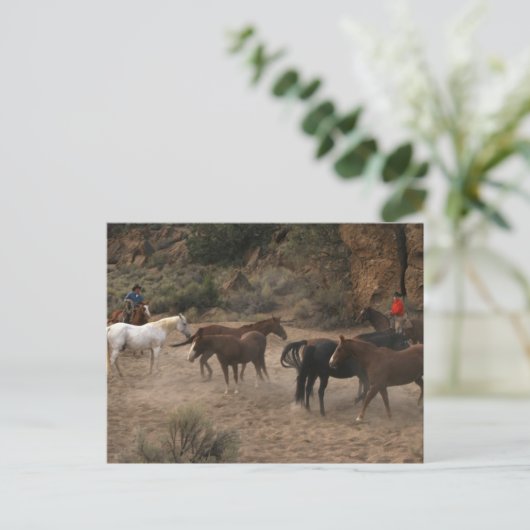 馬の群れ ポストカード (スタンド正面)