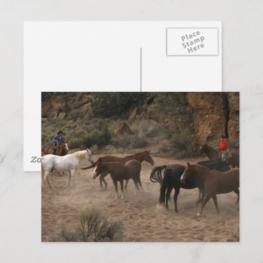 馬の群れ ポストカード (正面/裏面)
