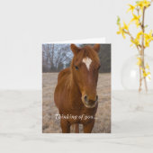 馬の考えるポーズ カード (黄色い花)