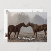 馬の考え愛 ポストカード (正面/裏面)