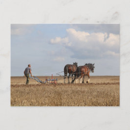 馬の耕作：ドーセ素晴らしットスチーム見本市 ポストカード