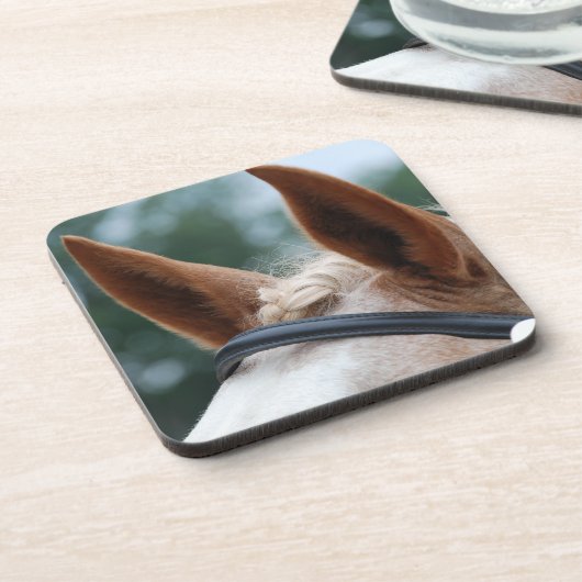 馬の耳 コースター (左側)