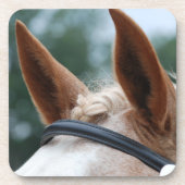 馬の耳 コースター (正面)