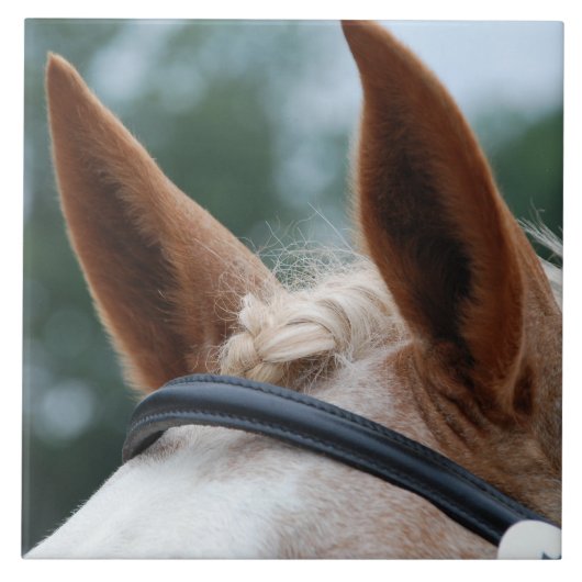 馬の耳 タイル (正面)