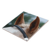 馬の耳 タイル (側面)