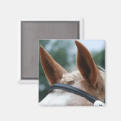 馬の耳 マグネット (正面/裏面)