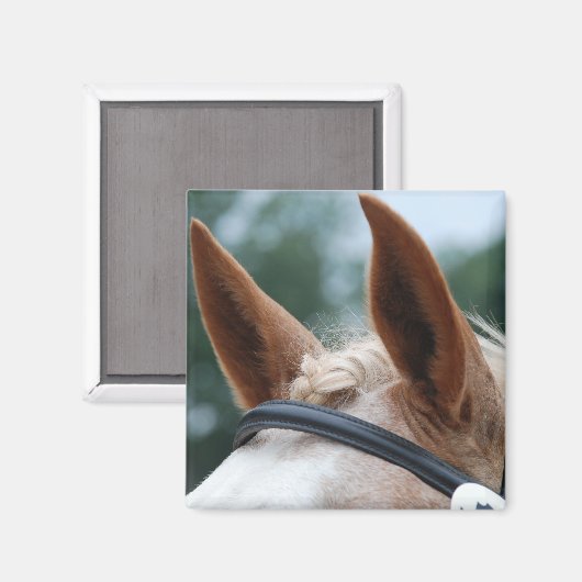 馬の耳 マグネット (正面/裏面)