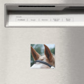 馬の耳 マグネット (インサイチュ (食洗機))