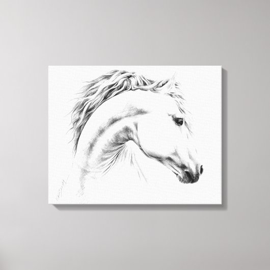 馬の肖像鉛筆画 馬の芸術 キャンバスプリント (正面)