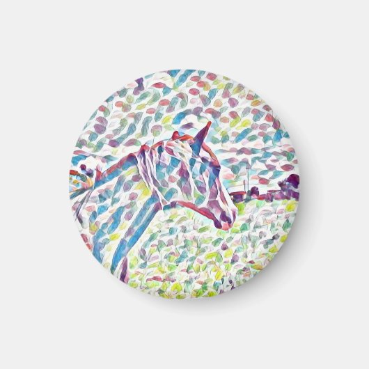 馬の色，磁石 マグネット (正面)