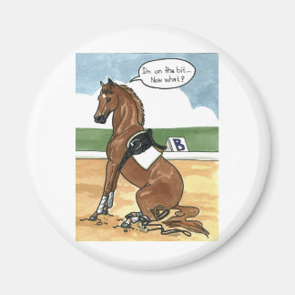 馬の芸術のビットで今何 マグネット