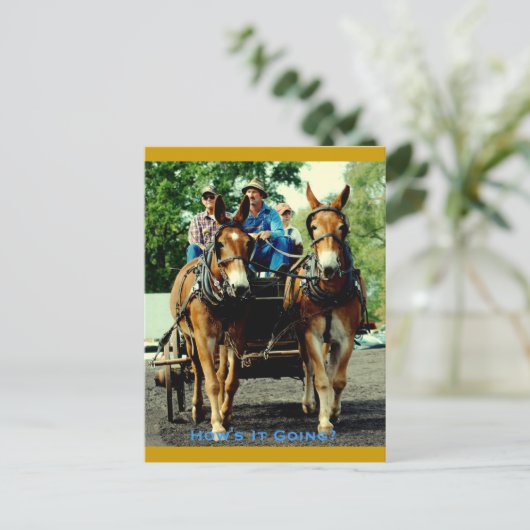 馬の荷車を引くショー ポストカード (スタンド正面)