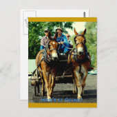 馬の荷車を引くショー ポストカード (正面/裏面)