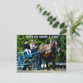 馬の荷車を引くショー ポストカード (スタンド正面)