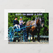 馬の荷車を引くショー ポストカード (正面/裏面)