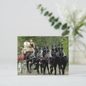 馬の荷車を引くショー ポストカード (スタンド正面)