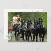 馬の荷車を引くショー ポストカード (正面/裏面)