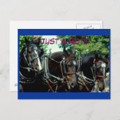 馬の荷車を引くショー ポストカード (正面/裏面)