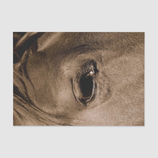 馬の西のヴィンテージ素朴の分離 薄葉紙 (正面)