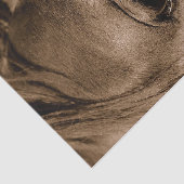 馬の西のヴィンテージ素朴の分離 薄葉紙 (詳細)