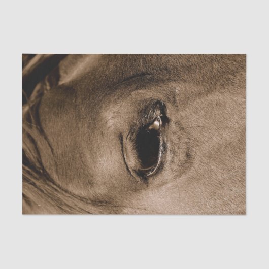 馬の西のヴィンテージ素朴の分離 薄葉紙 (正面)