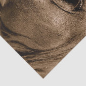 馬の西のヴィンテージ素朴の分離 薄葉紙 (詳細)