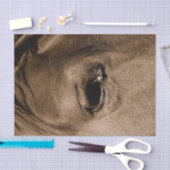 馬の西のヴィンテージ素朴の分離 薄葉紙 (クラフト)