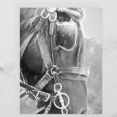 馬の西素朴黒白ヴィンテージ (正面/裏面)