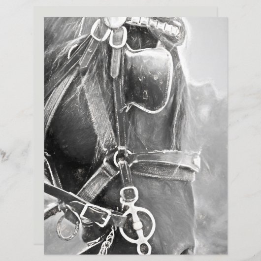 馬の西素朴黒白ヴィンテージ (正面/裏面)