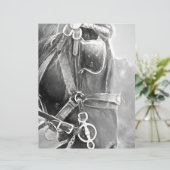 馬の西素朴黒白ヴィンテージ (スタンド正面)