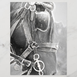 馬の西素朴黒白ヴィンテージ