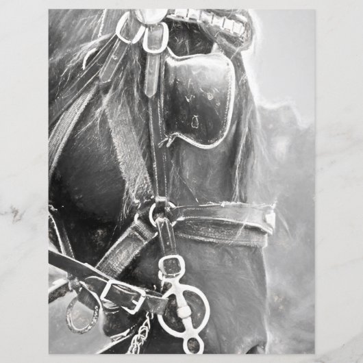 馬の西素朴黒白ヴィンテージ (正面)