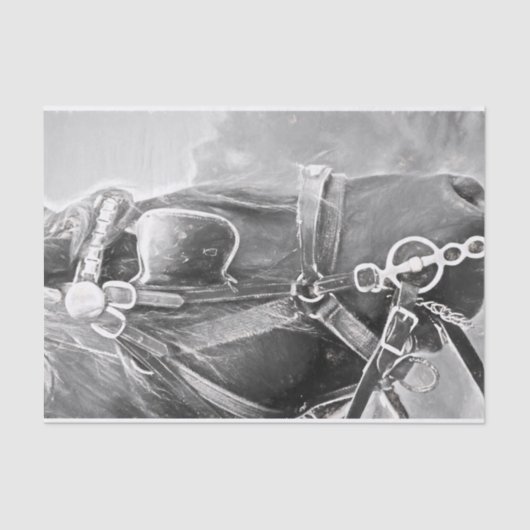 馬の西素朴黒白ヴィンテージ 薄葉紙 (正面)