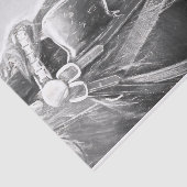 馬の西素朴黒白ヴィンテージ 薄葉紙 (詳細)