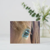 馬の視覚 ポストカード (スタンド正面)