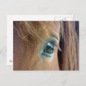 馬の視覚 ポストカード (正面/裏面)