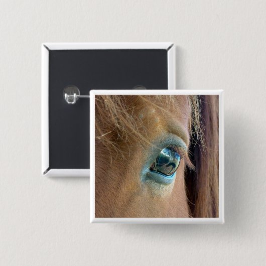 馬の視野 缶バッジ (正面&裏面)