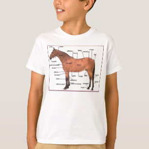 馬の解剖学のティー Tシャツ