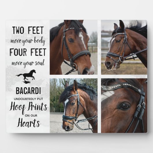 馬の記念品の贈り物の写真コラージュプラーク フォトプラーク (正面)